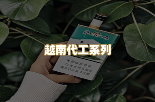 越南代工系列